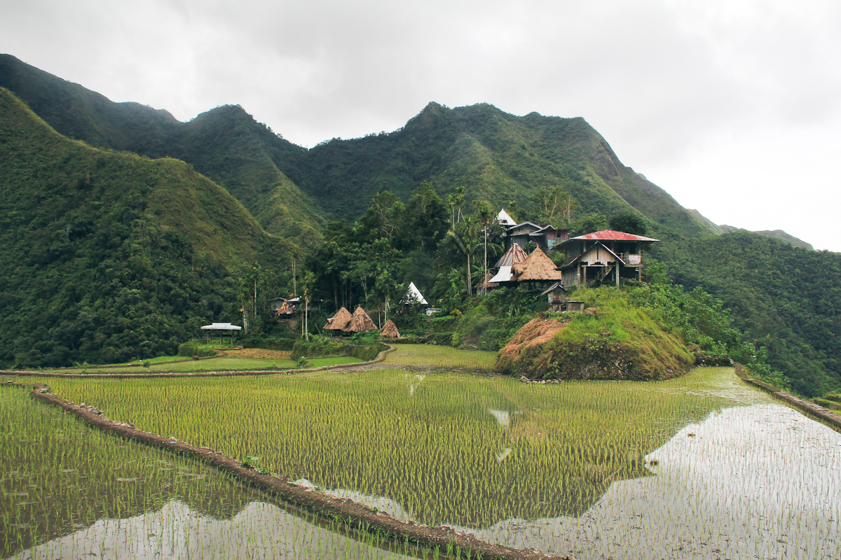Rice Terraces of Batad